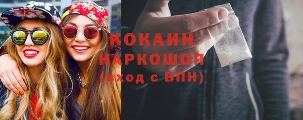 СК Сосновый Бор