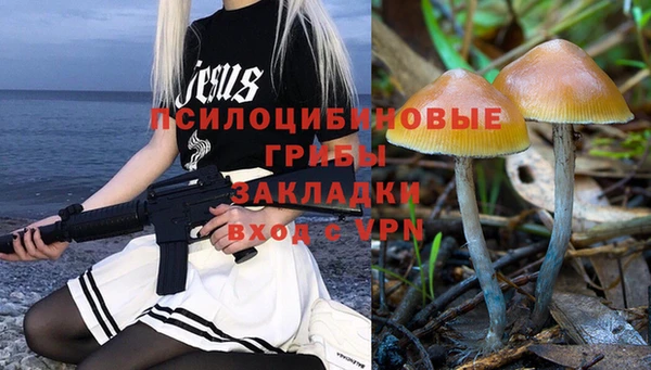 СК Сосновый Бор