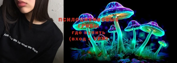 СК Сосновый Бор
