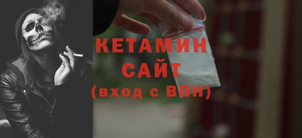 СК Сосновый Бор