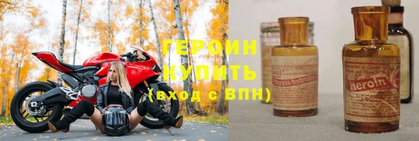 СК Сосновый Бор