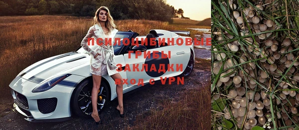 не бодяженный Снежинск