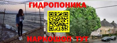 бошки Аргун
