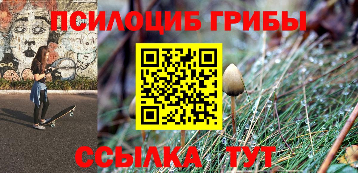 Псилоцибиновые грибы Cubensis  Галлюциногенные грибы Psilocybe  Сорочинск  Вход с VPN 