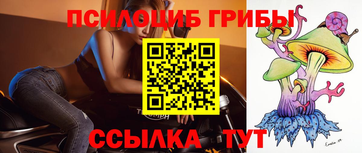 Галлюциногенные грибы Psilocybine cubensis Сорочинск